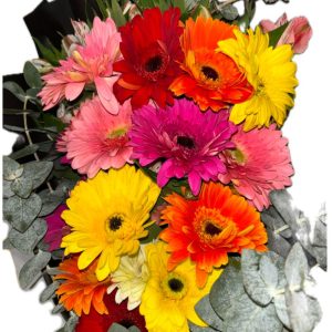15 gerberas surtidas colores variados