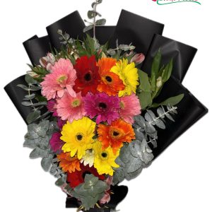 15 gerberas surtidas colores variados